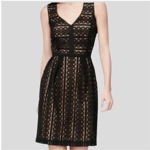 Loft AnnTaylor Geo Striped Lace Overlay LBD Nude Cotton Lined Dress Women’s